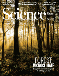 May 2020 Science magazine cover which featured backlit trees in a forest.