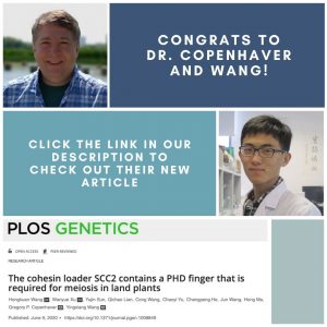 Profile photos of Copenhaver and Wang and a screenshot of their article.